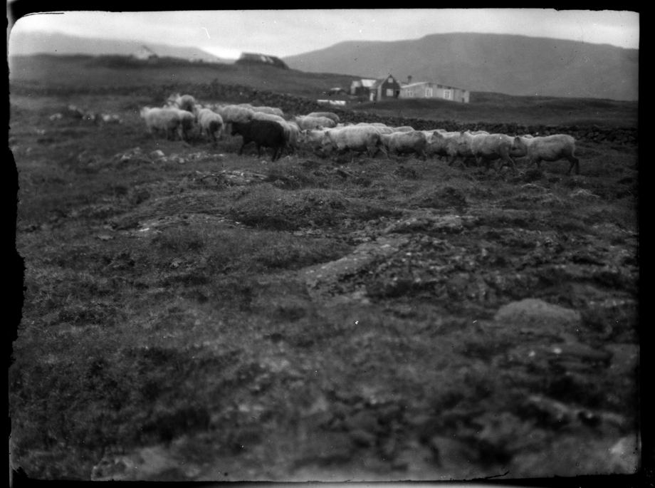Skógarkot á 3. áratug 20. aldar. Horft til norðurs frá Vaðmálsbala. Bæjarhúsin eru á miðri mynd. Aftast eru útihús á Sjónarhól; vinstra megin er sagt vera hlaða með áföstum hrútakofa og hesthúsi en það hægra hefur verið langhús fyrir kindur. Ljósmyndari: Sigurður Tómasson (1893–1980).