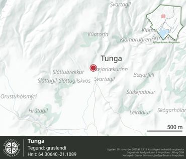 Ornefni Atlas Tunga 99Fe
