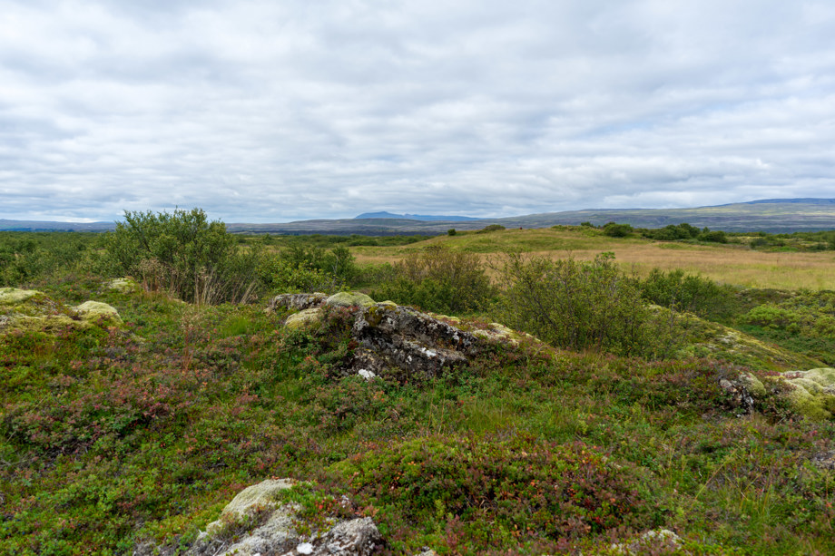 Brunnhólar