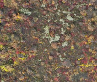 Loftmynd af lyngi í haulitum þar sem Litla Hrauntún á að hafa staðið.