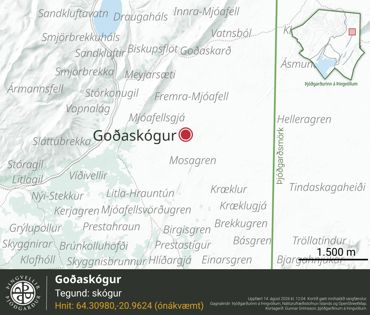 Ornefni Atlas Godaskogur 5084