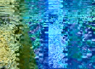 A deep under-water fissure.