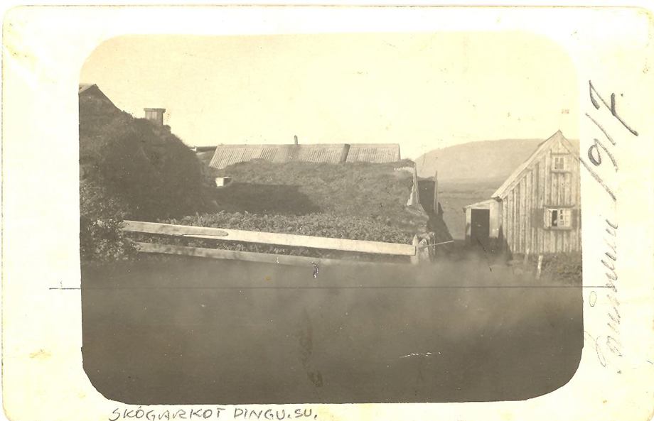 Ljósmynd af Skógarkoti frá 1917