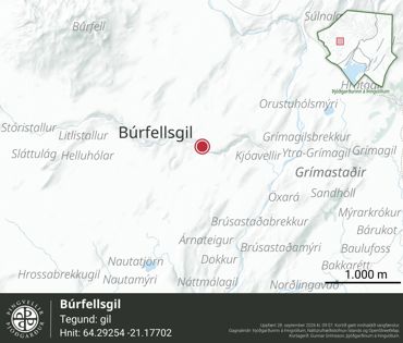 Ornefni Atlas Burfellsgil 8400